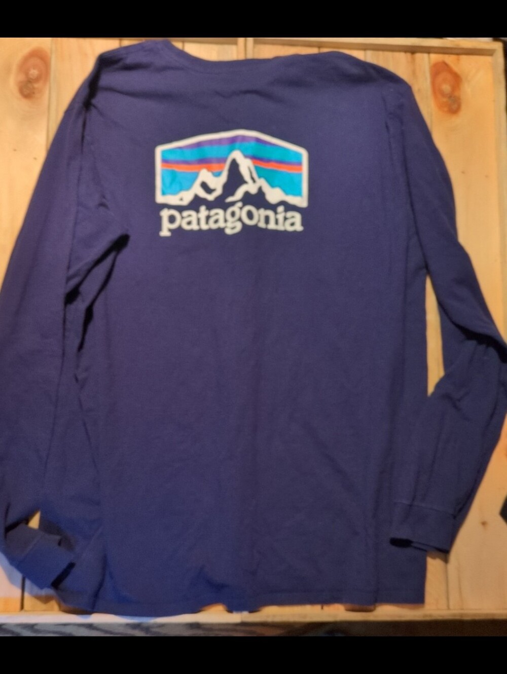 Patagonia long sleeve t shirt